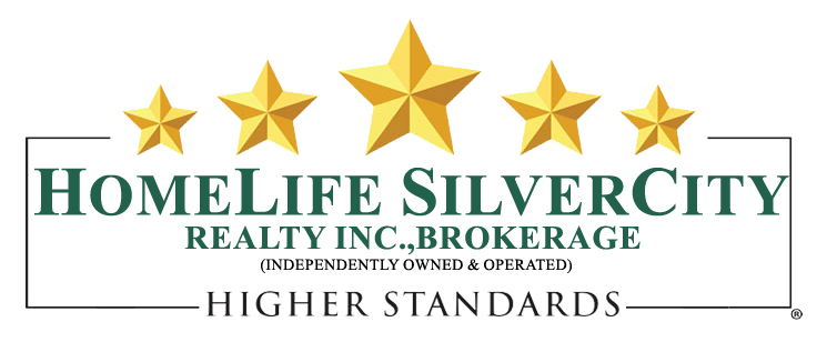 Homelife Silvercity Logo